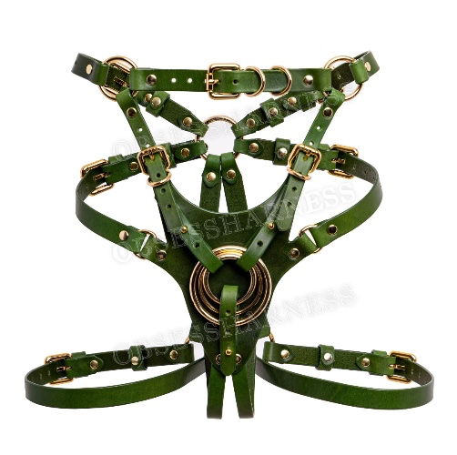 Custom Harness Set