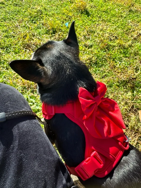 Morning Coffee w P ❤︎