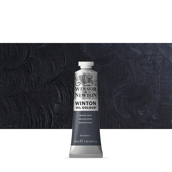 Winsor & Newton : Winton : Oil Paint : 37ml : Payne's Grey