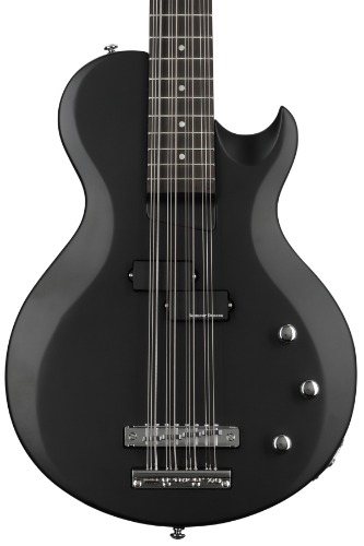 Schecter dUg Pinnick DP-12 12-string Bass Guitar - Satin Black