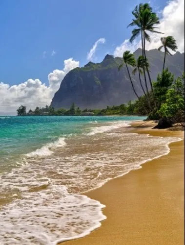 Hawaii Trip