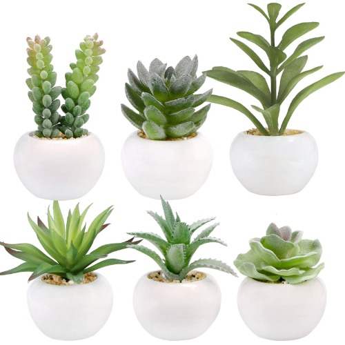 GREENTIME Set of 6 Succulents Plants Artificial in Mini White Ceramic Pots,Small Fake Succulents Plants,Faux Indoor Succulent Plants for Windowsills,Bedroom,Desk,Bathroom,Office,Home Decoration