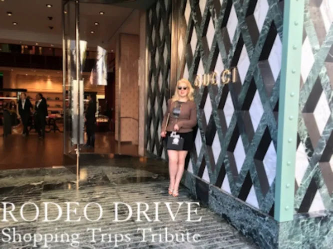 Rodeo Drive Shopping Trips Gift