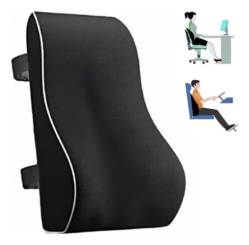 Back support cushion