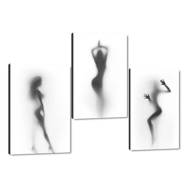 Sexy Nude Woman Wall Pictures Naked Girl in The Shower Hazy Shadow Wall Art 3 Panel Modern Nordic Abstract Canvas Painting Artwork for Bar Game Room Wooden Framed Home Decor Easy to Put-16"Wx24"Hx3pcs