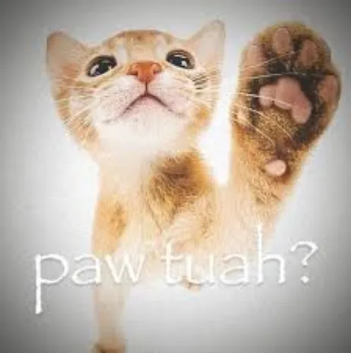 paw tuah