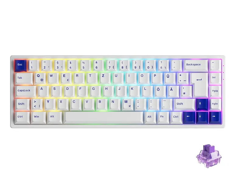 Akko 3068B Plus mekaniskt tangentbord Multi Modes, QWERTZ Tysk-Layout Gaming Keyboard med taktila brytare, Hotswap, PBT-tangenter, RGB-bakgrundsbelysning, ergonomiskt, 3 nivåer höjd (blåvit)