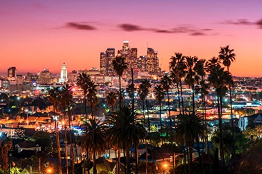 Los Angeles California Skyline at Sunset Palm Trees LAX SoCal City Orange Sky Photo Beach Landscape Pictures Ocean Scenic Tropical Nature Paradise Cool Wall Decor Art Print Poster 36x24