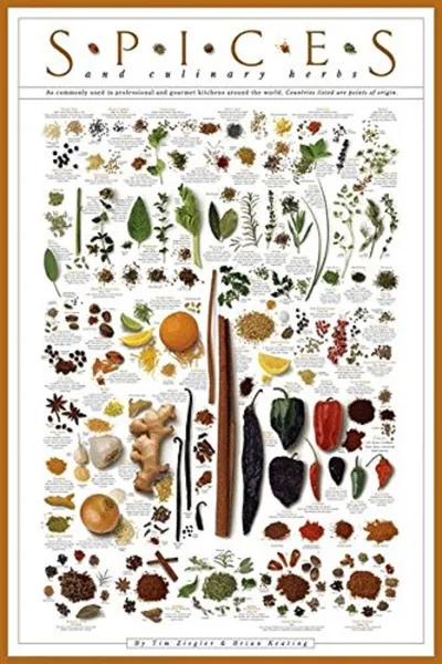 Laminated Spices and Culinary Herbs Gourmet Kitchen Cooking Chart Poster 24x36 - 24x36 Laminated Print