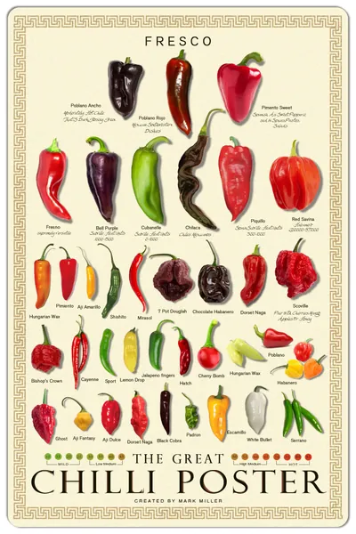 The Great Chilli Poster Fresco Pepper Species Spicy Metal Tin Signs Wall Art Plaque for Kitchen Home Pub Restaurant Bar Classroom 8x12 Inches - 