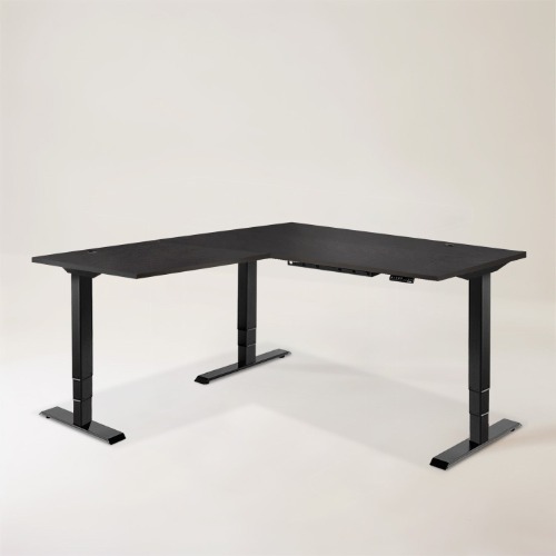 Executive Standing Corner Desk - L Shaped - Large 71" × 71" / Black / Oak Black