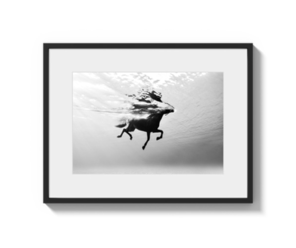 Letting Go | Medium / Black / Border