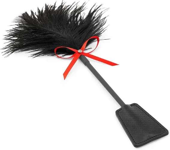 Whip with feather