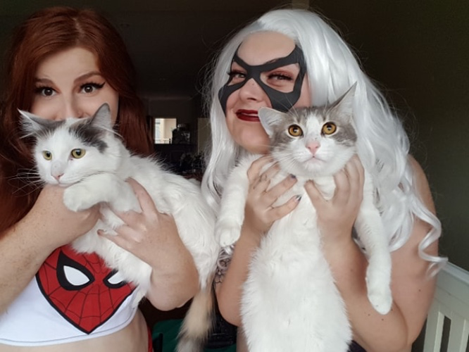 A treat for Loki, Mercy and Achilles