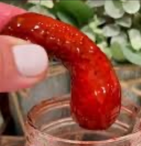 Mini pickle-less than 6”