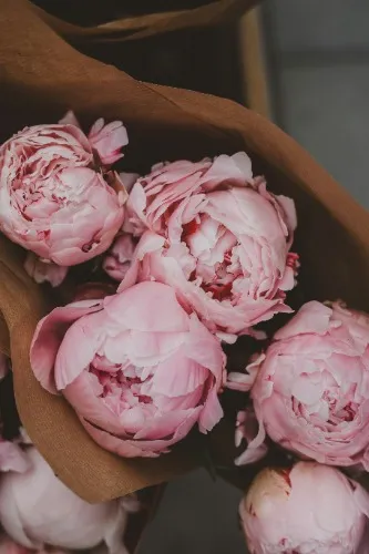 Bouquet peony