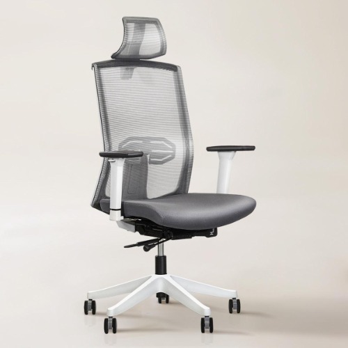 Karma Ergonomic Chair - White