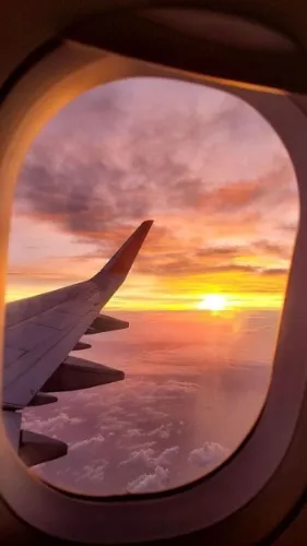 Travel
