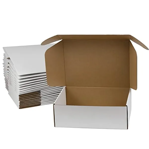 Sodissa 12x9x4 Inches Shipping Boxes, White Corrugated Cardboard Boxes for Small Bussiness, Pack of 20