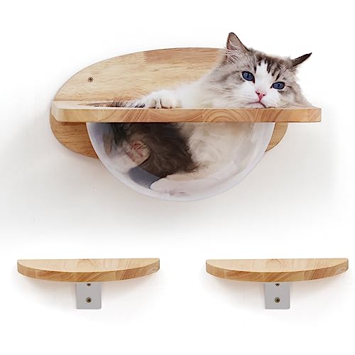 FUKUMARU Cat Wall Furniture Set, Transparent Capsule Cat Wall Shelves with 2 PCS Pedals - Premium Kitty Bed for Sleeping, Playing, Climbing, and Lounging - Easily Holds Up to 35 Lbs