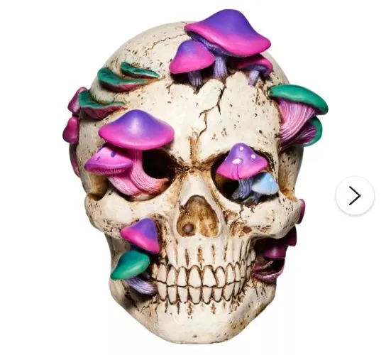 Mystical Arts Mushroom Skull - Spirithalloween.com