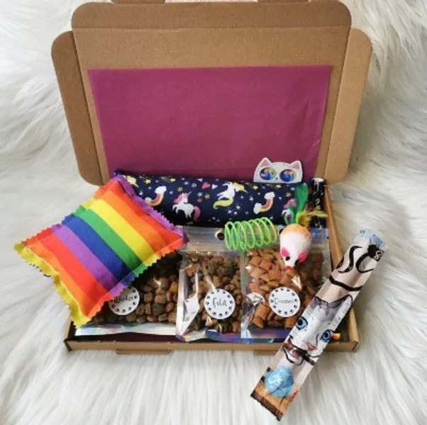 Cat Toy and Treat Gift Box, Cat and Kitten Gift Box, Cat Goodie Box, Handmade Catnip Toys, Gifts for Cat Lovers, Crazy Cat Lady Presents