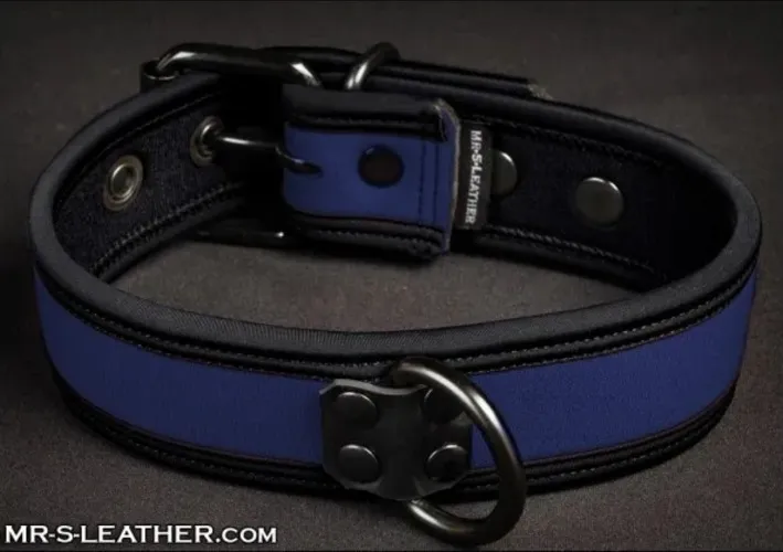 Neo Bold Color Puppy Collar - 14 Colors