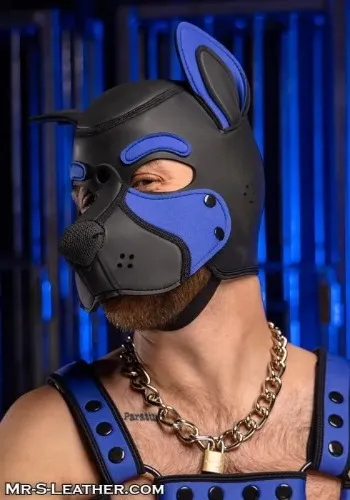 Neoprene Frisky Pup Hood