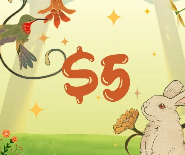 $5