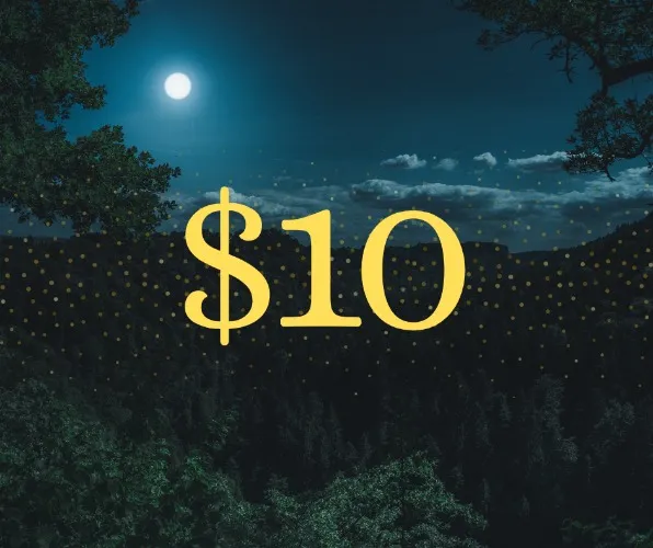 $10