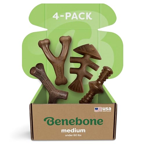 Benebone Medium 4-Pack Dog Chew Toys for Aggressive Chewers, Made in USA, 60lbs and Under - Medium - Dog Chew Toys