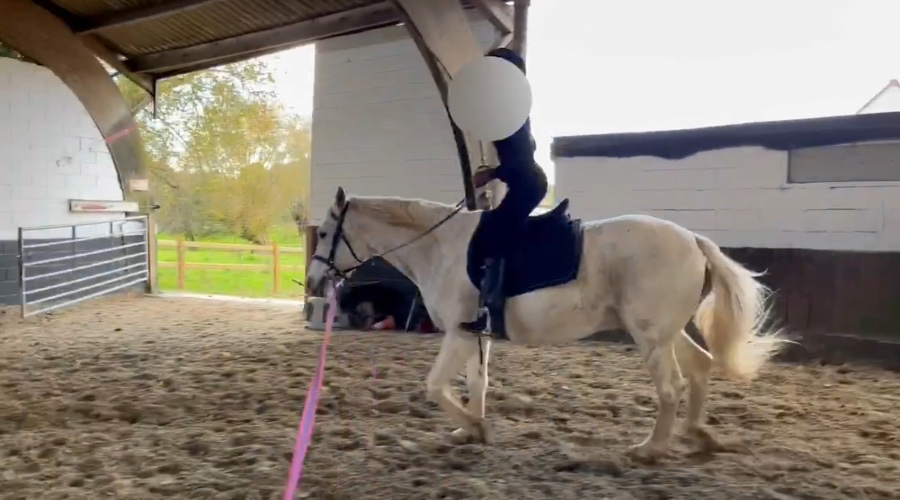 Horseback Riding class