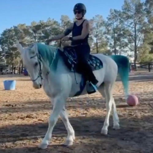 Horseback Riding Lesson