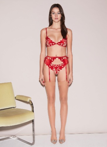 Velvet Lily Embroidery Hipster Thong | rouge / 2 / S