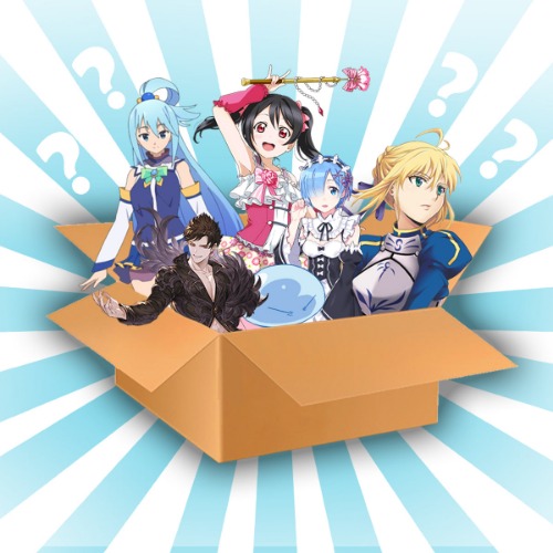 Waifu Mystery Box [In Stock]