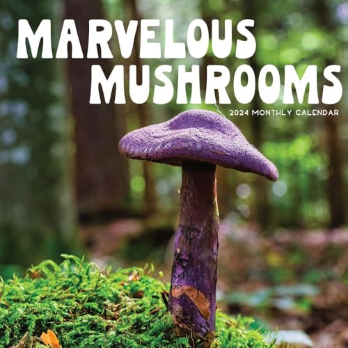 Mushroom Calendar 2024 | 12" x 24" Wall Calendar 16 Month| Marble City Press: Marvelous Mushrooms | Foraging Tips, Hand-drawn Art, Fungi Facts, Mycology, Scientific and Common Names | Art Paper | 2023-2024 Calendar