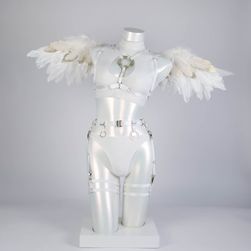 HALO harness and lingerie set