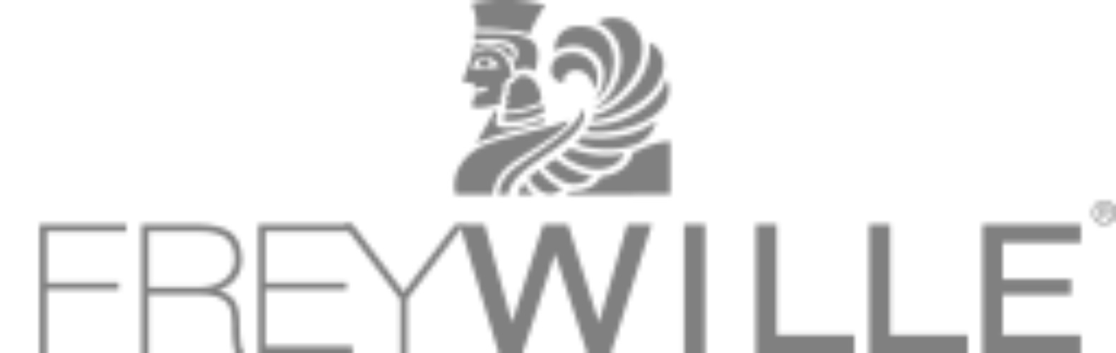 FREYWILLE - Snake Chain