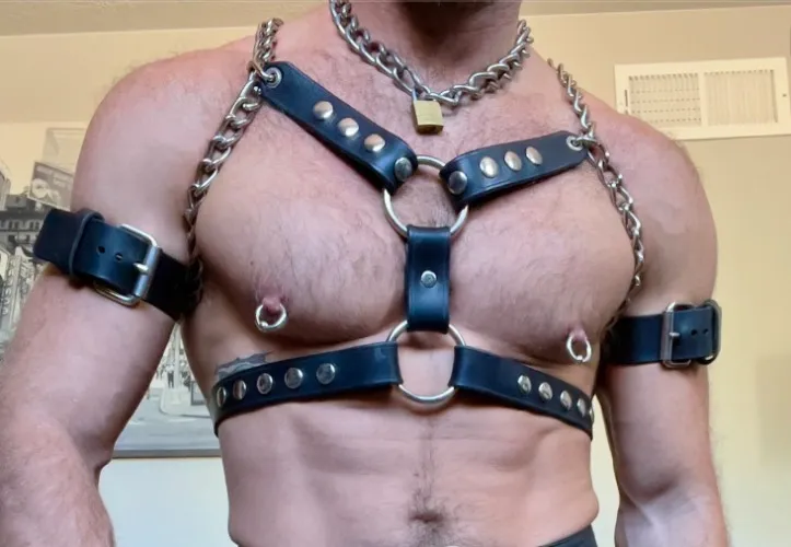 Mr. S Leather Custom Harness