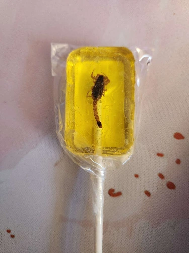 Eat Scorpion Lollipop/Sucker on stream