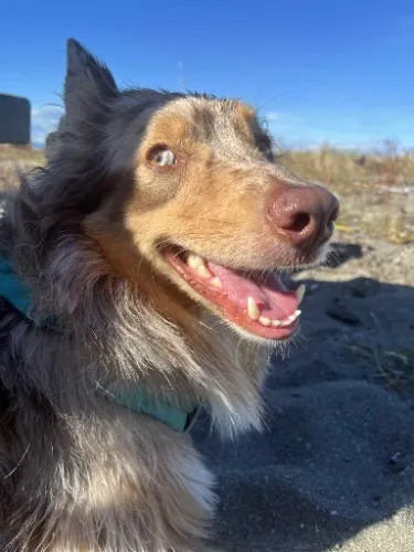 Pancake moniesss 🥞