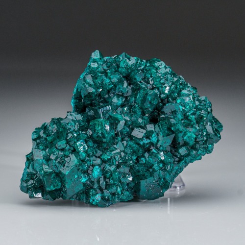 Dioptase from Tsumeb Mine, Otavi-Bergland District, Oshikoto, Namibia (168.5 grams)