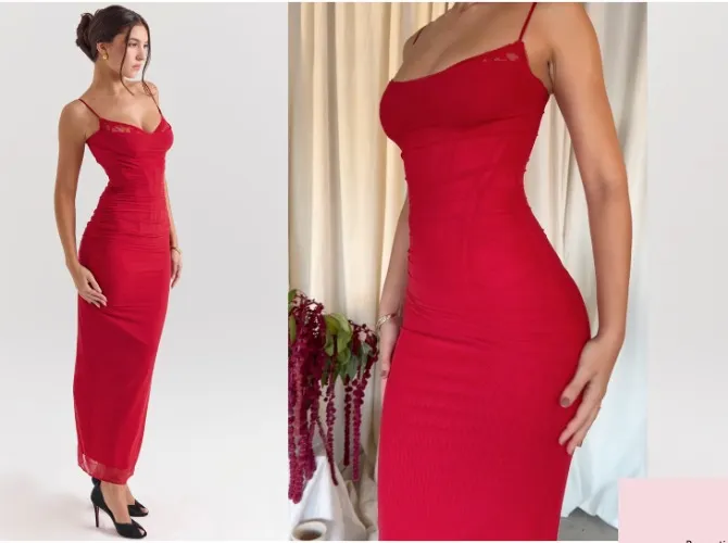 Nalini Holly Red Mesh Corset Maxi Dress