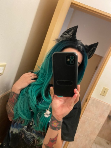 New cat ears