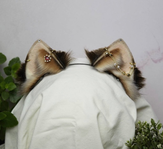 Gradient Brown Kitten