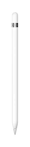 Apple Pencil (1st Generation): Pixel-Perfect Precision and Industry-Leading Low Latency, Perfect for Note-Taking, Drawing, and Signing documents. - USB-C Adapter