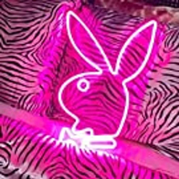 Bunny LED Neon Sign Light Waterproof Wall Bar Living Room Decor Neon Lamp Design Neon Light Gift For Friend. Size:44x31CM