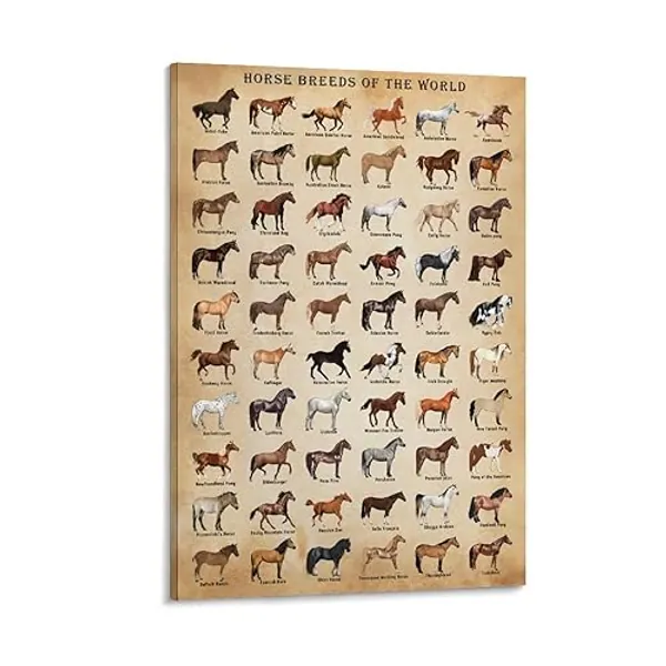 XNLKSI Horse Breeds Poster,Horse Type Poster, Horse Knowledge Horse Breeds of The World Poster Unframed 16x24inch - 24L" x 16W" - Breeds of Horse