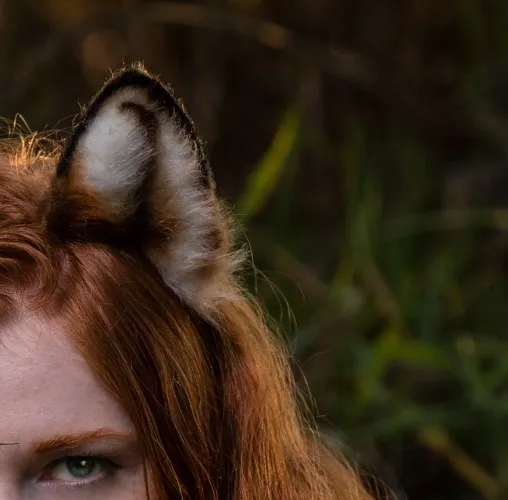 Your Coffee, dear Fox