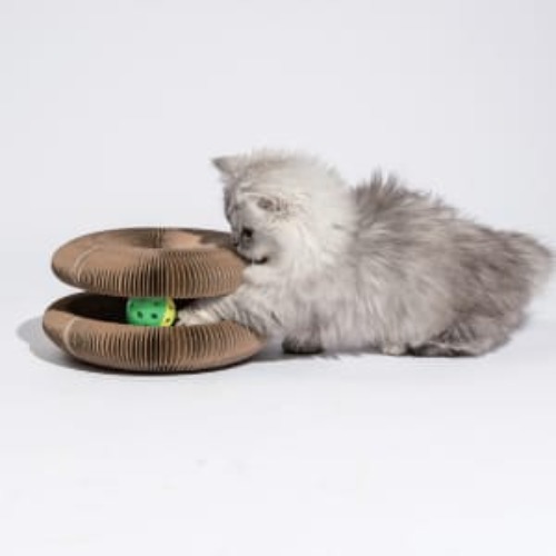 Cat Toy Round Accordion
